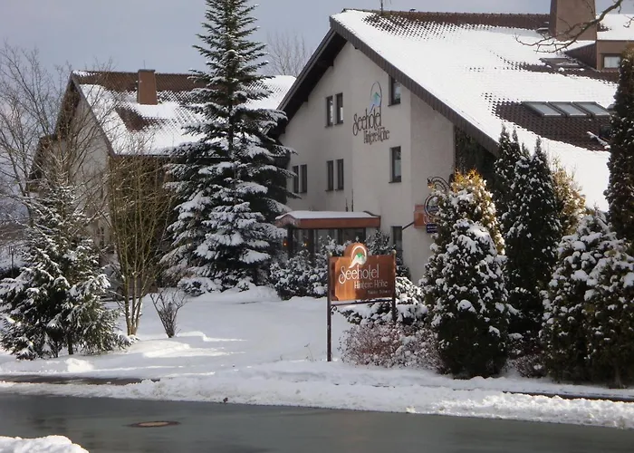 Seehotel Hintere Hohe Ξενοδοχείο 3*